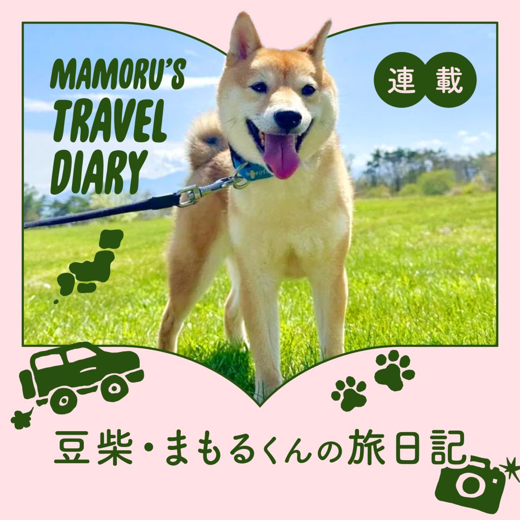 豆柴・まもるくんの旅日記