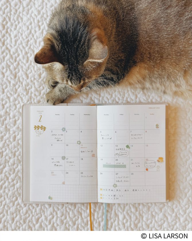 【リサ・ラーソン付録の手帳使用レポ】書くたびに癒やされる、愛らしい猫のスケジュール手帳で2026年のスタートを。