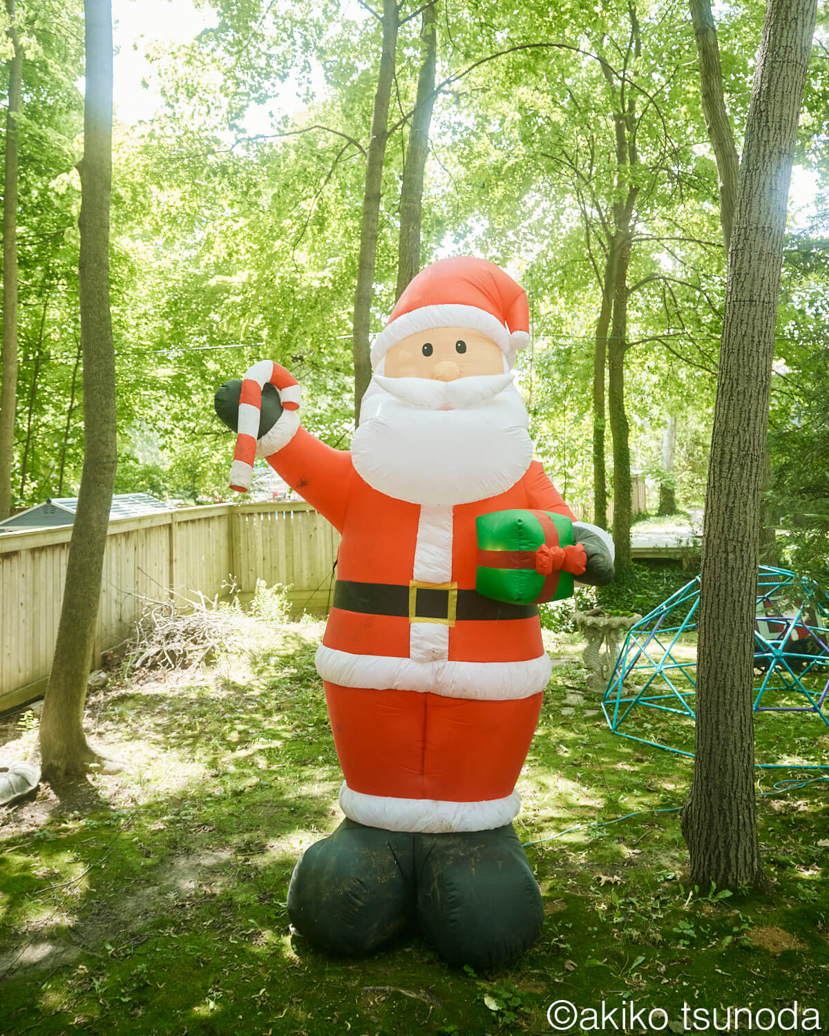 デンマークのサンタさんが建てたお家