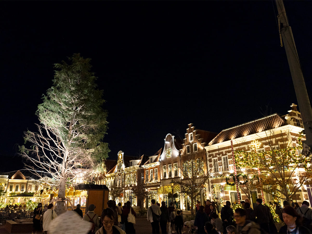 ハウステンボスでは、ヨーロピアン・ホーリー・クリスマスがスタートし、イルミネーションがライトアップ！【クリスマス2025】