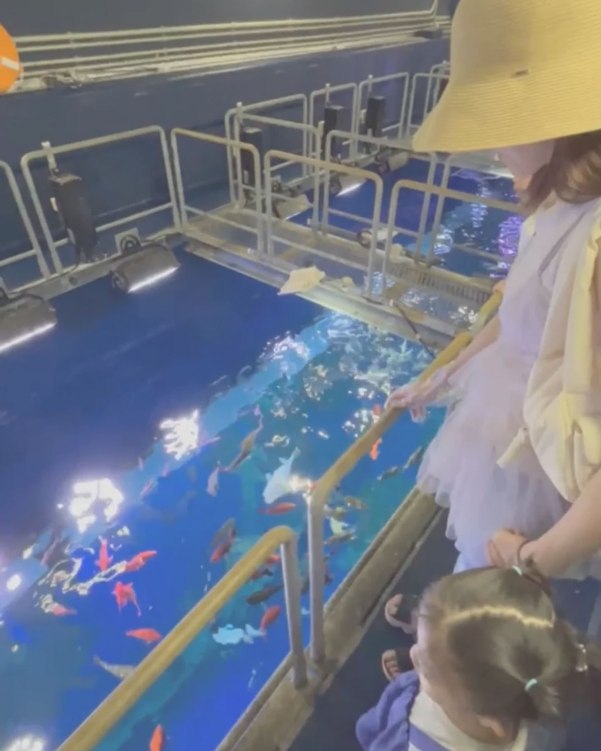 沖縄の観光スポットDMMかりゆし水族館