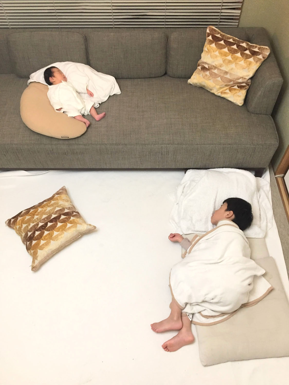 IDEE AGLAS SOFAの座面でお昼寝をする様子