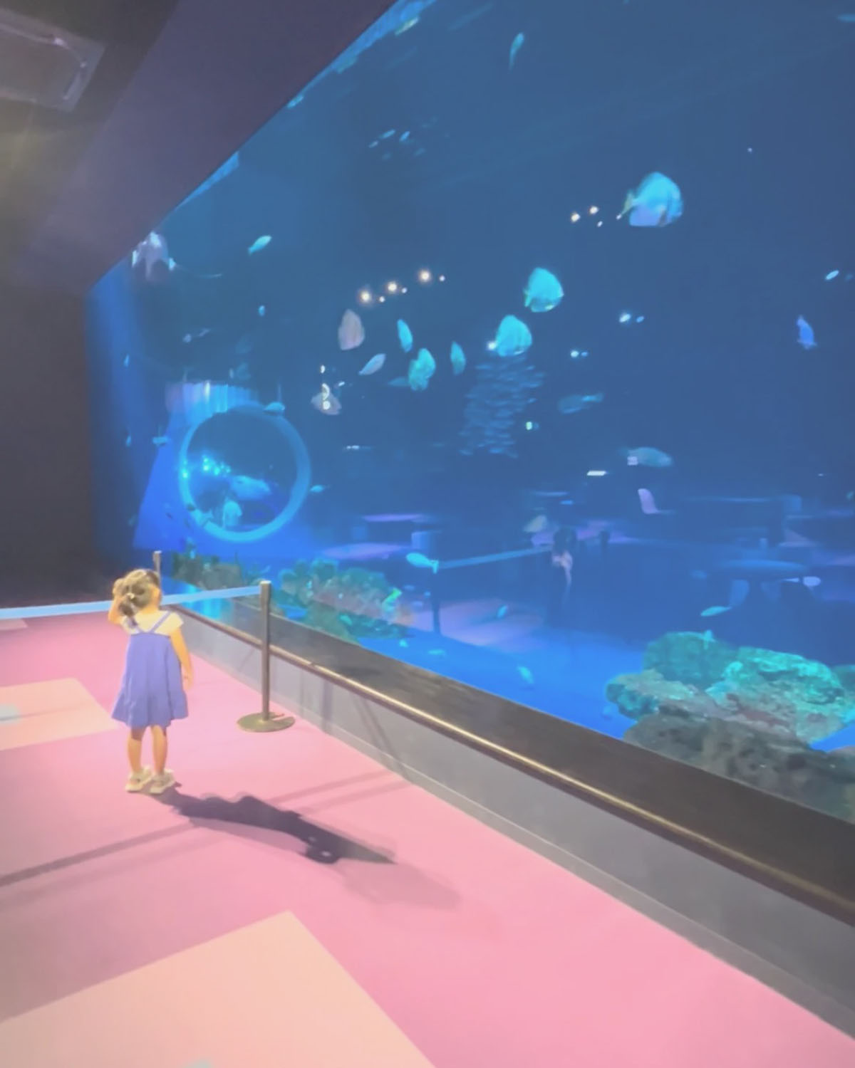 DMMかりゆし水族館