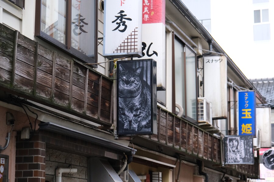 新天地の景色に溶け込みながらも、しっかりと存在感を放っているモノクロのフォト看板。これは写真家の森山大道の作品で、その数なんと40点。作品を見て歩くだけでも楽しめます。