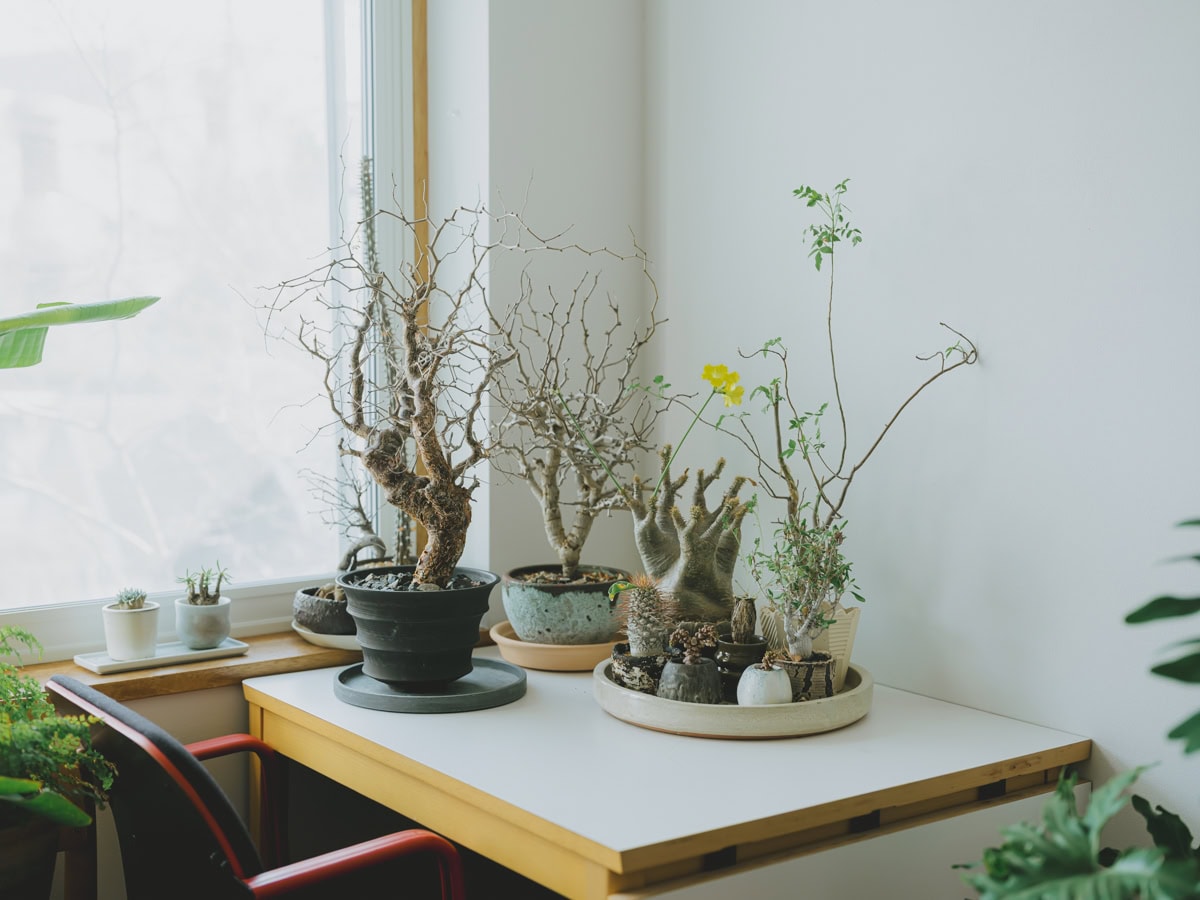 120㎡ 3LDKのヴィンテージマンション|こだわこだわりのワークスペース