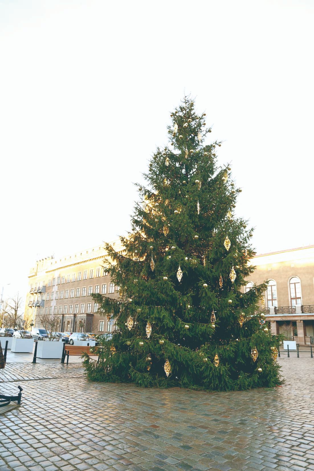 ラトビアの首都「リガ」クリスマス観光おすすめスポット5選 「ブラックヘッド会館」