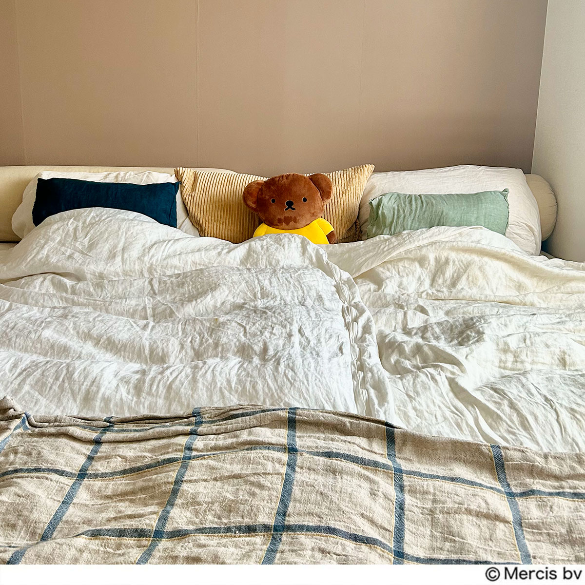 リンネル2月号増刊ボリスのクッション　寝るときも一緒に