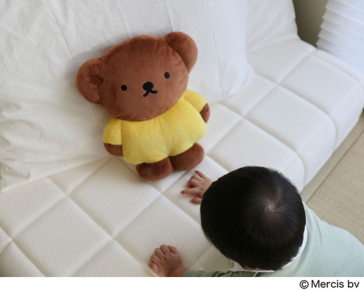 リンネル2月号増刊ボリスのクッション　赤ちゃんが遊ぶときも安心