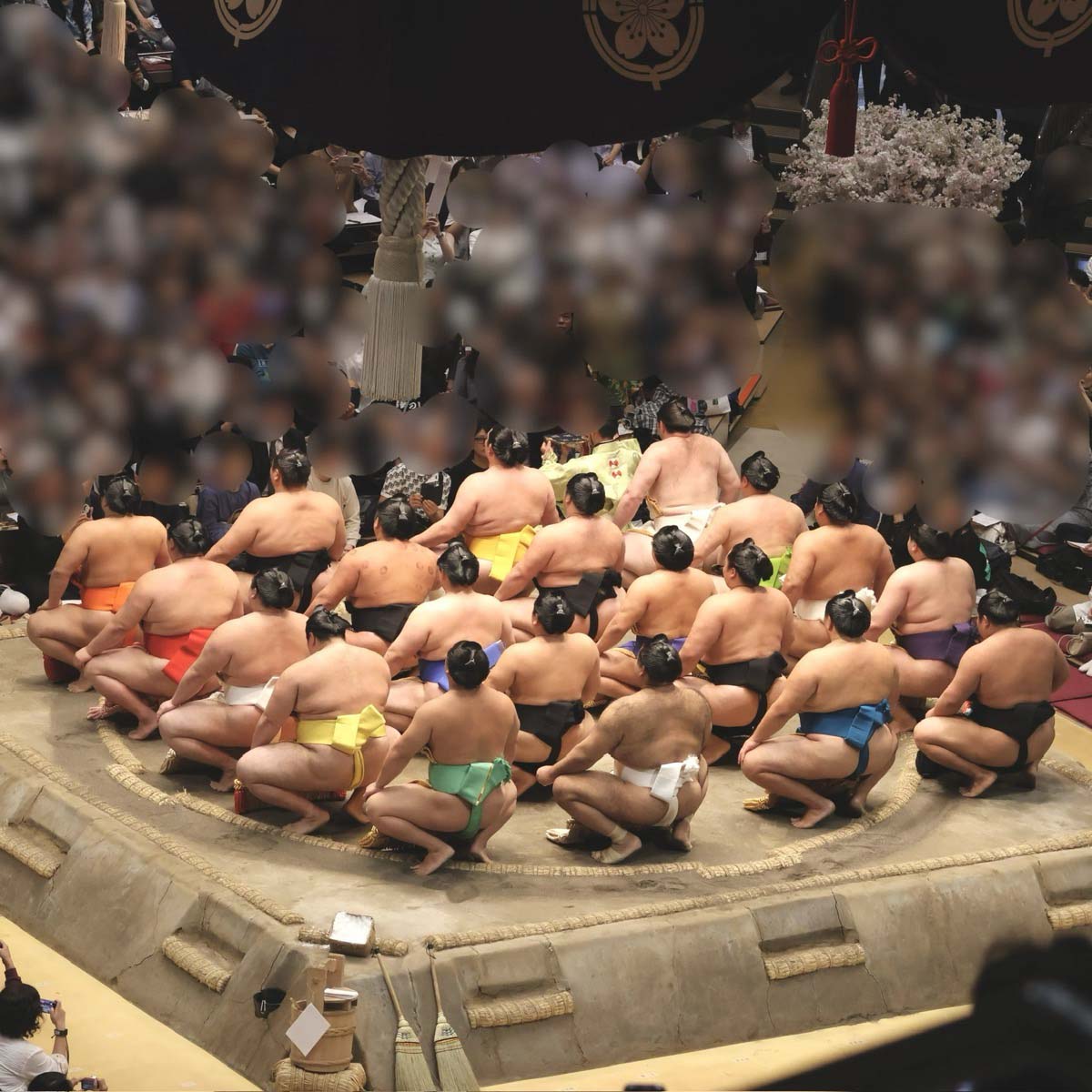 土俵入りの様子