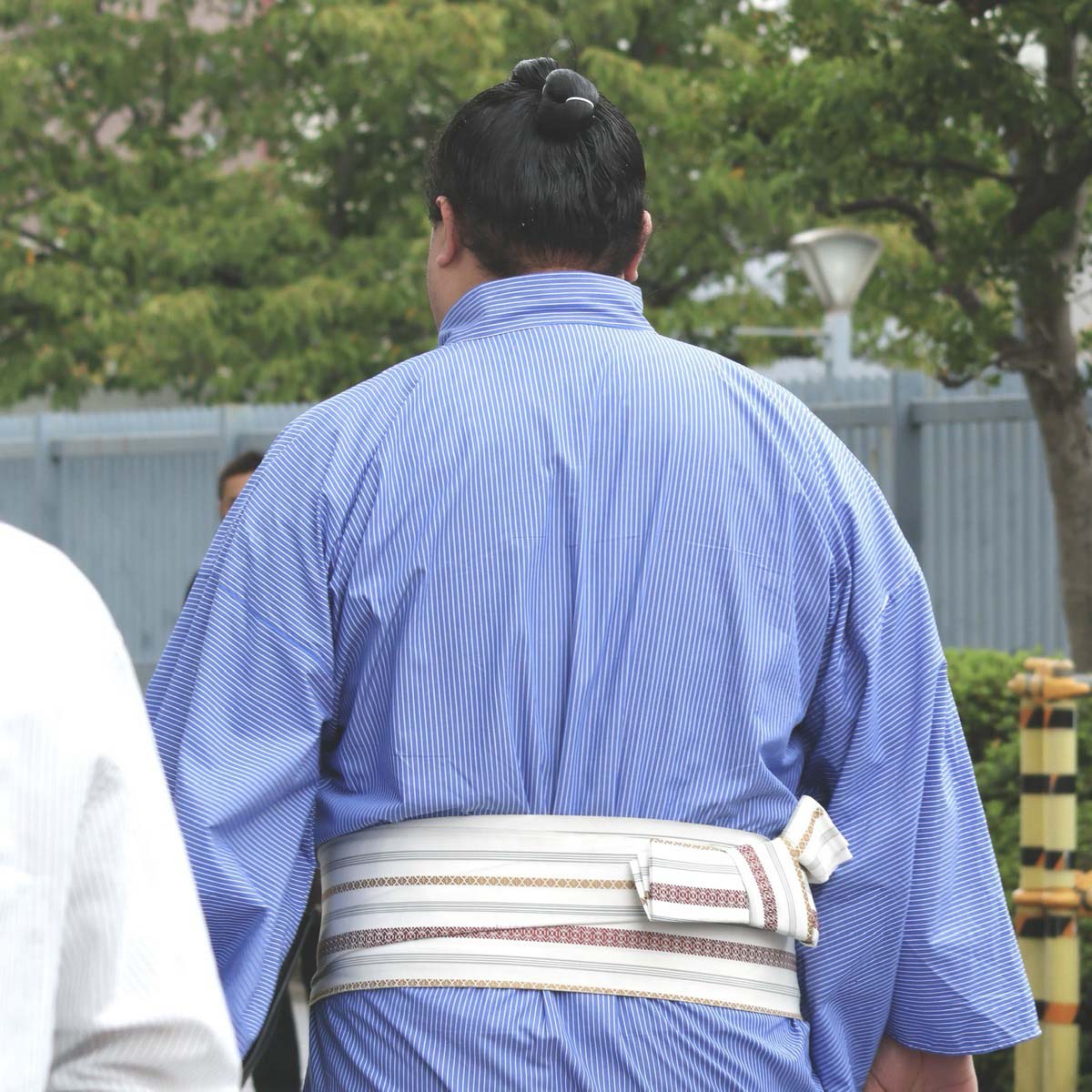 力士の後ろ姿