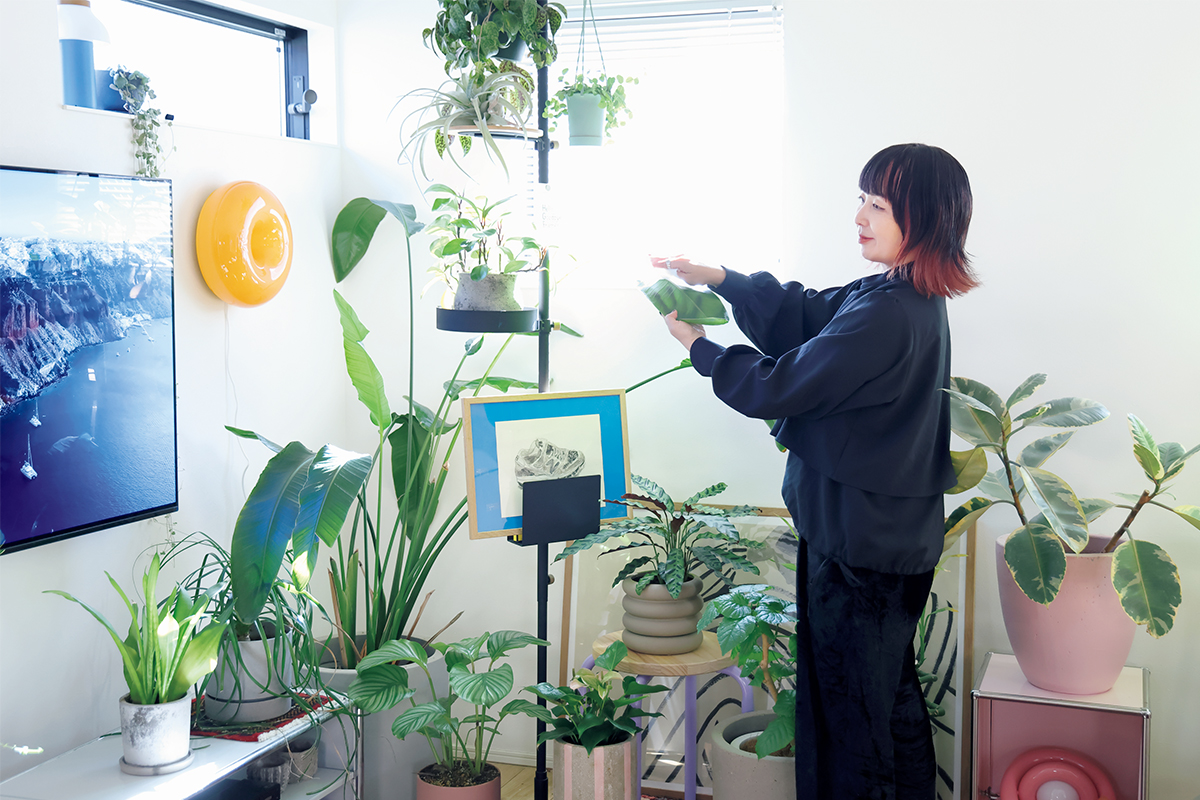 ルームスタイリスト竹村真奈さん「テレビを見る「ついで」に観葉植物の手入れ」