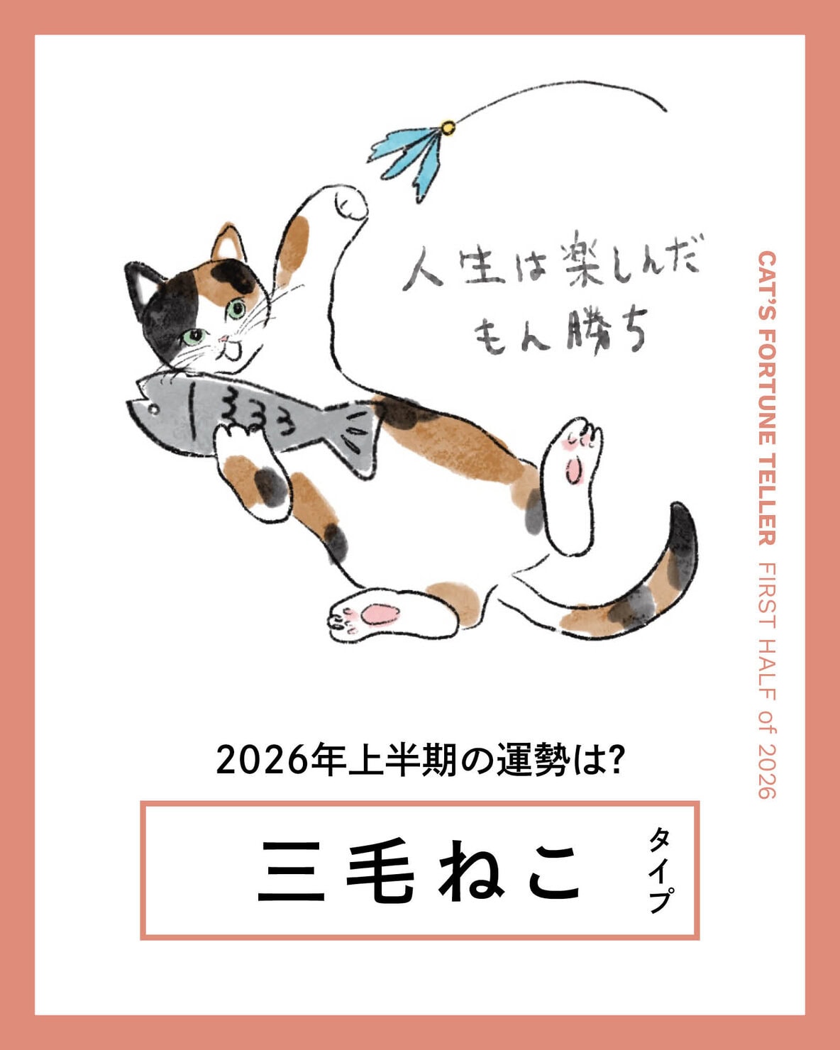 ねこ占い・2026年上半期】 三毛ねこタイプの運勢と、人間関係の傾向や