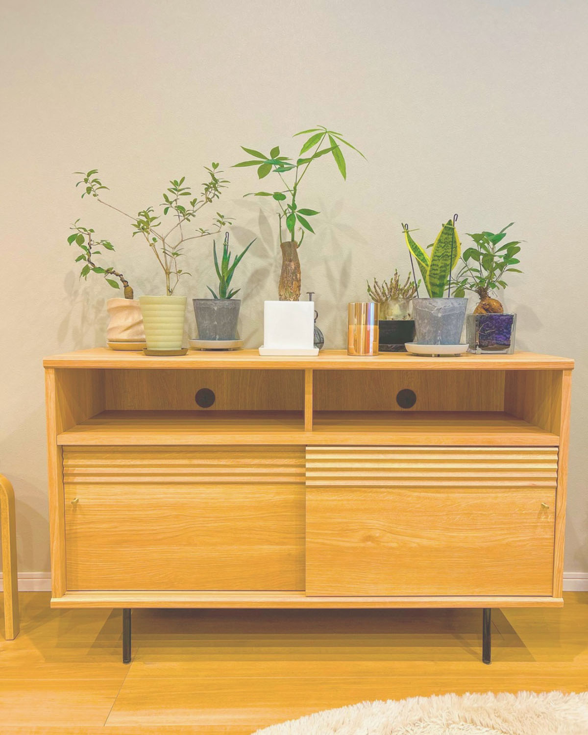 観葉植物のある暮らし