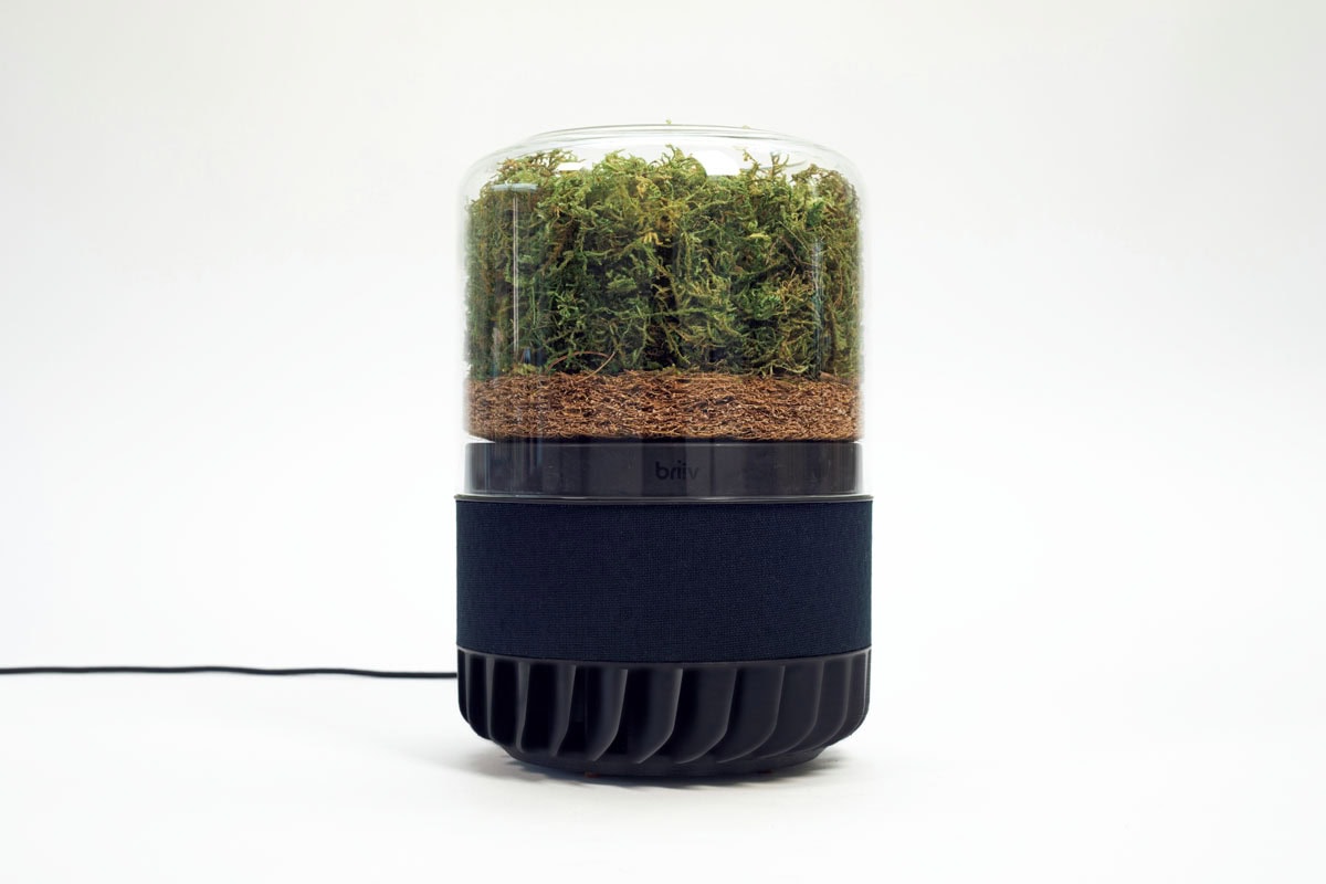 〈モダニティ〉のBriiv 2.0