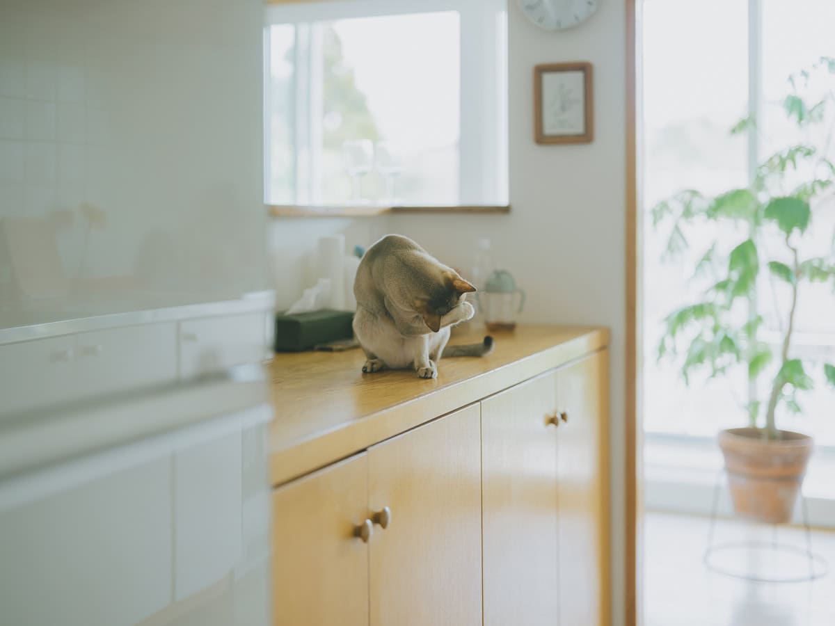 120㎡ 3LDKのヴィンテージマンション|kanakoさん宅のキッチン