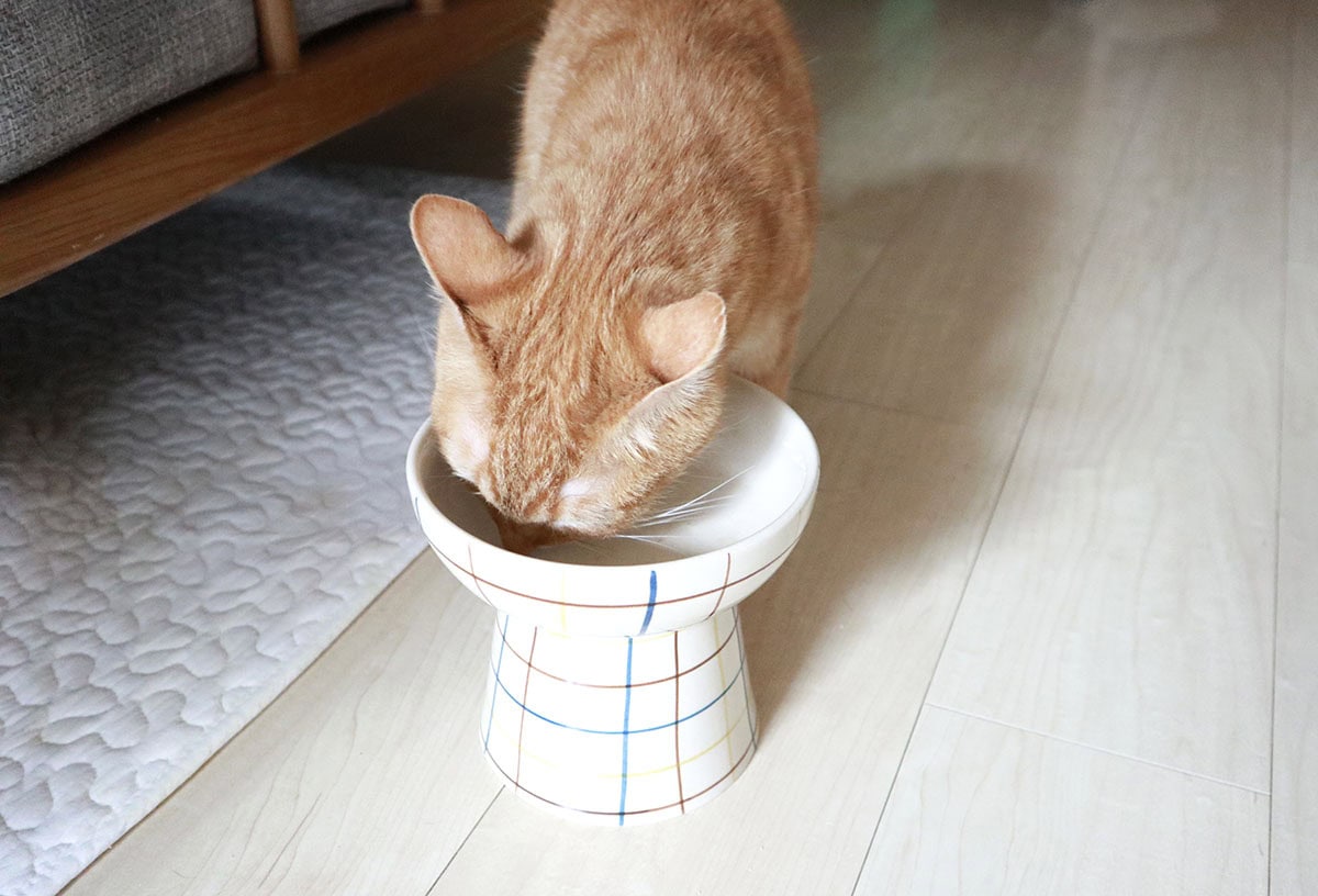 猫や小型犬にちょうどよい大きさ。