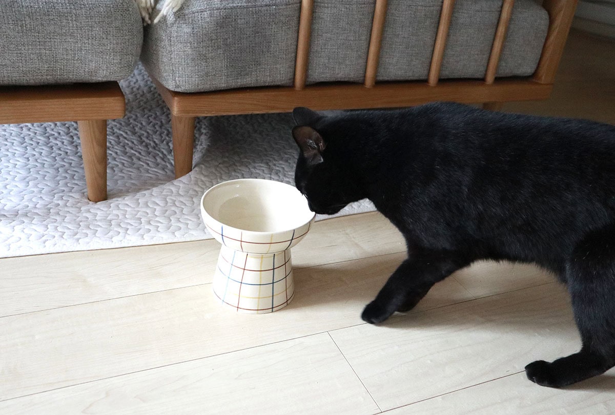 unico「SYODA(ショーダ)ペットボウル」暮らしに活躍