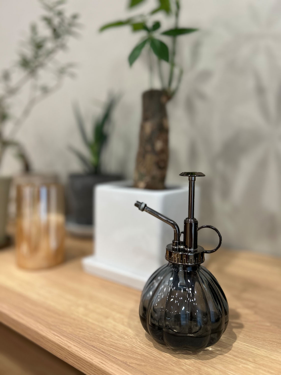 観葉植物の水やりは“回数”でなく“土の乾き”で判断するのが大切