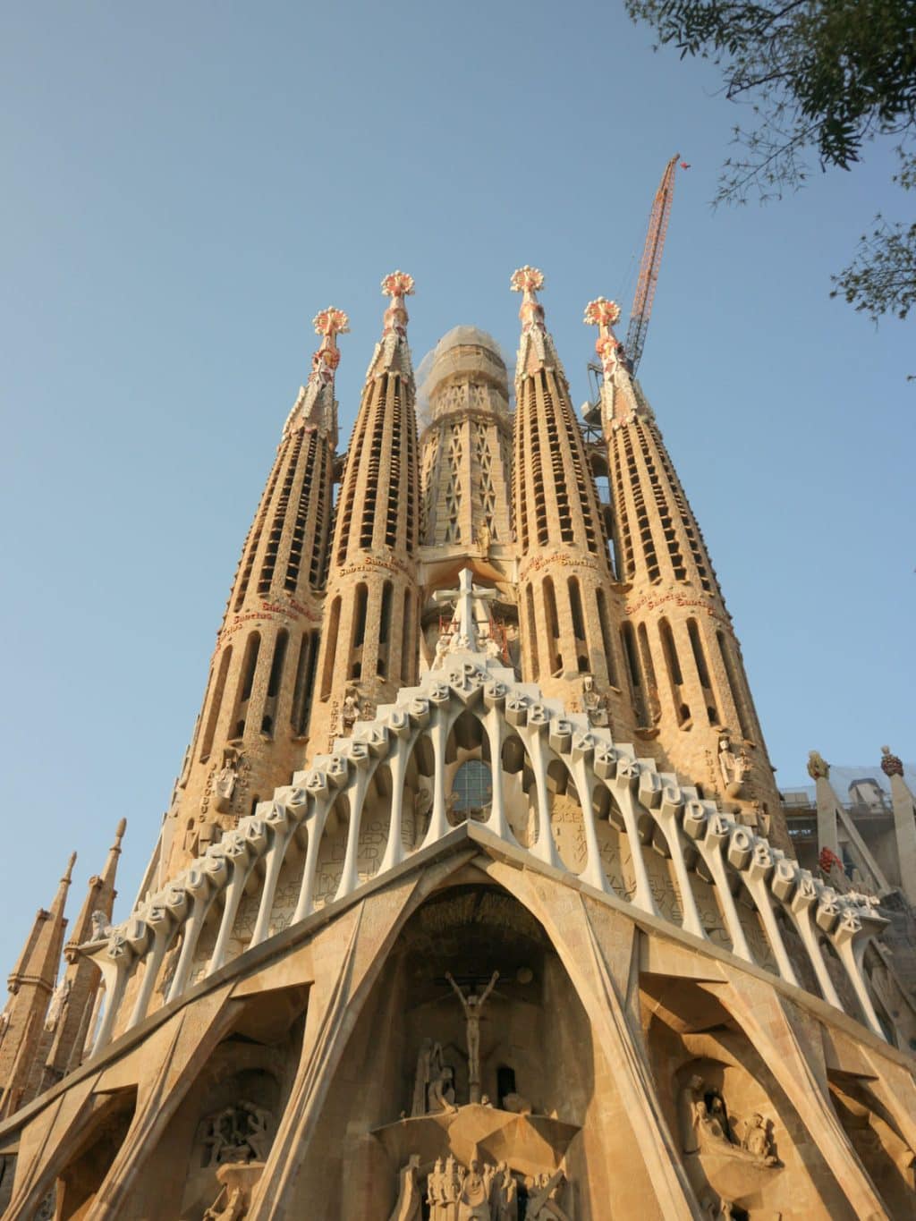 【バルセロナ世界遺産をめぐる旅 vol.1|サグラダ・ファミリア編】 ガウディの建築を知ることは、スペインの時間に触れること。コースや料金情報も。