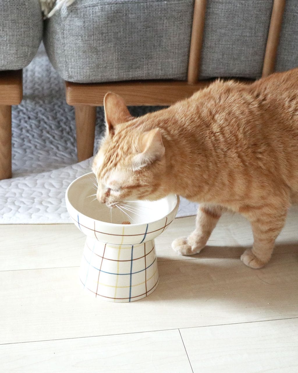 【unicoのペットアイテム使用レビュー】 愛猫もお気に入りの、暮らしになじむかわいいごはんボウル