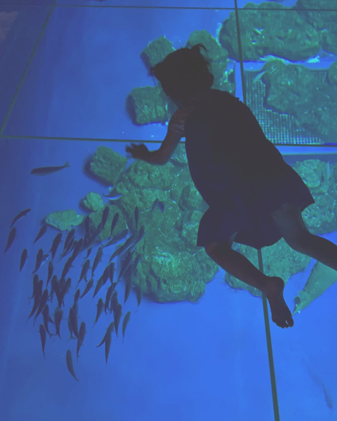 DMMかりゆし水族館の「ちゅらみなも」