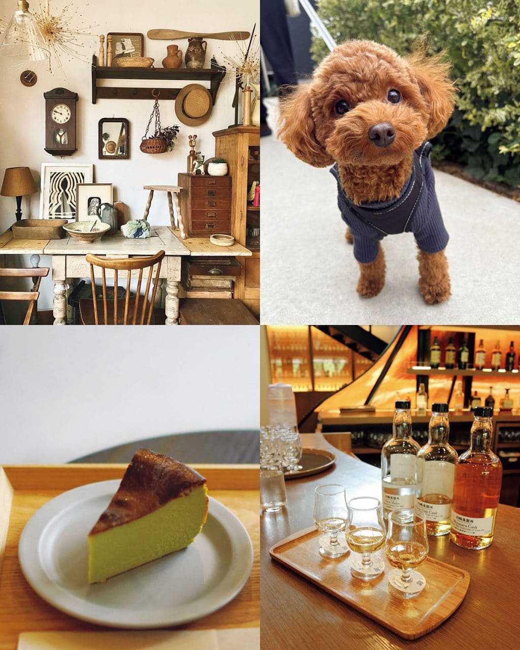 【2026年、みんなのやりたいことリストは?】 一年を有意義に過ごすための今年の目標、教えて!