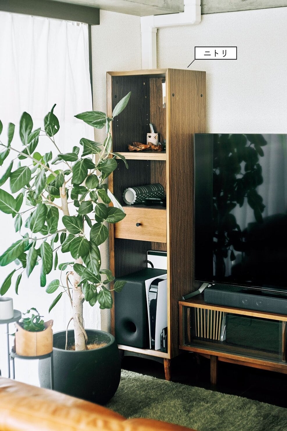 【ニトリ・イケア・無印良品】植物と相性のよい茶や緑の家具を選んで
