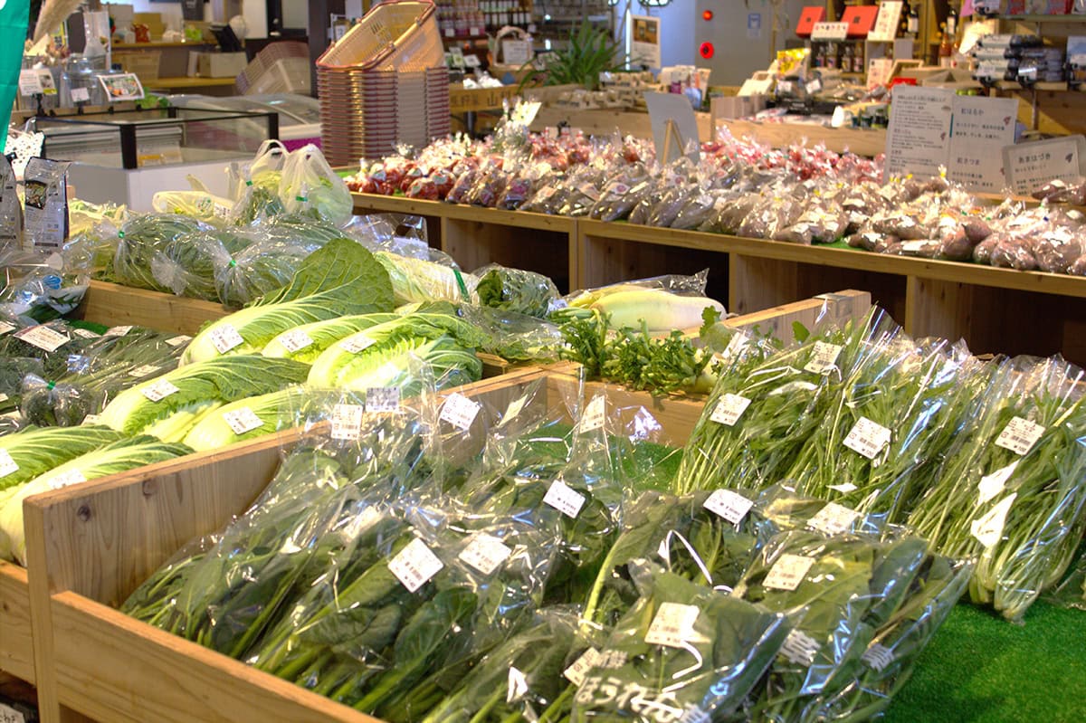 南アルプスで深呼吸を。大自然と手しごとに癒やされる時間をご提案。こちらは南アルプスの麓に広がる体験型複合施設「fumotto 南アルプス」