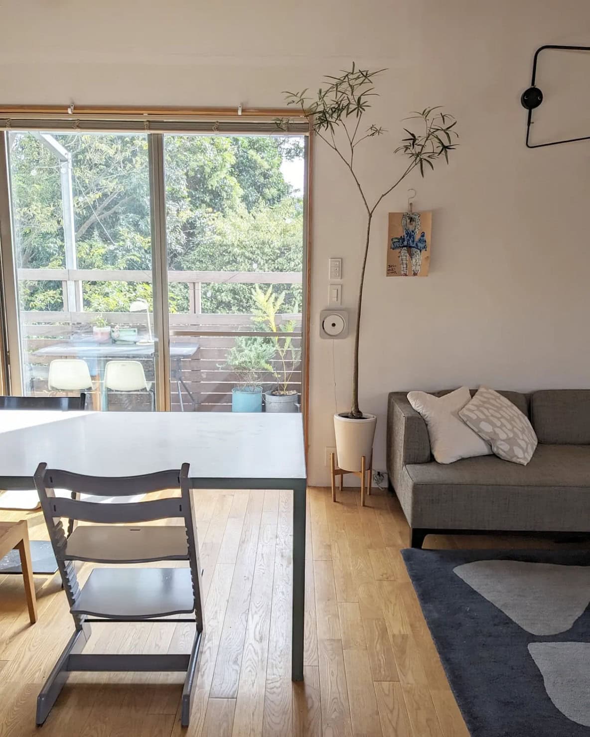 日当たり、通風、見た目のバランスを考えて植物を配置