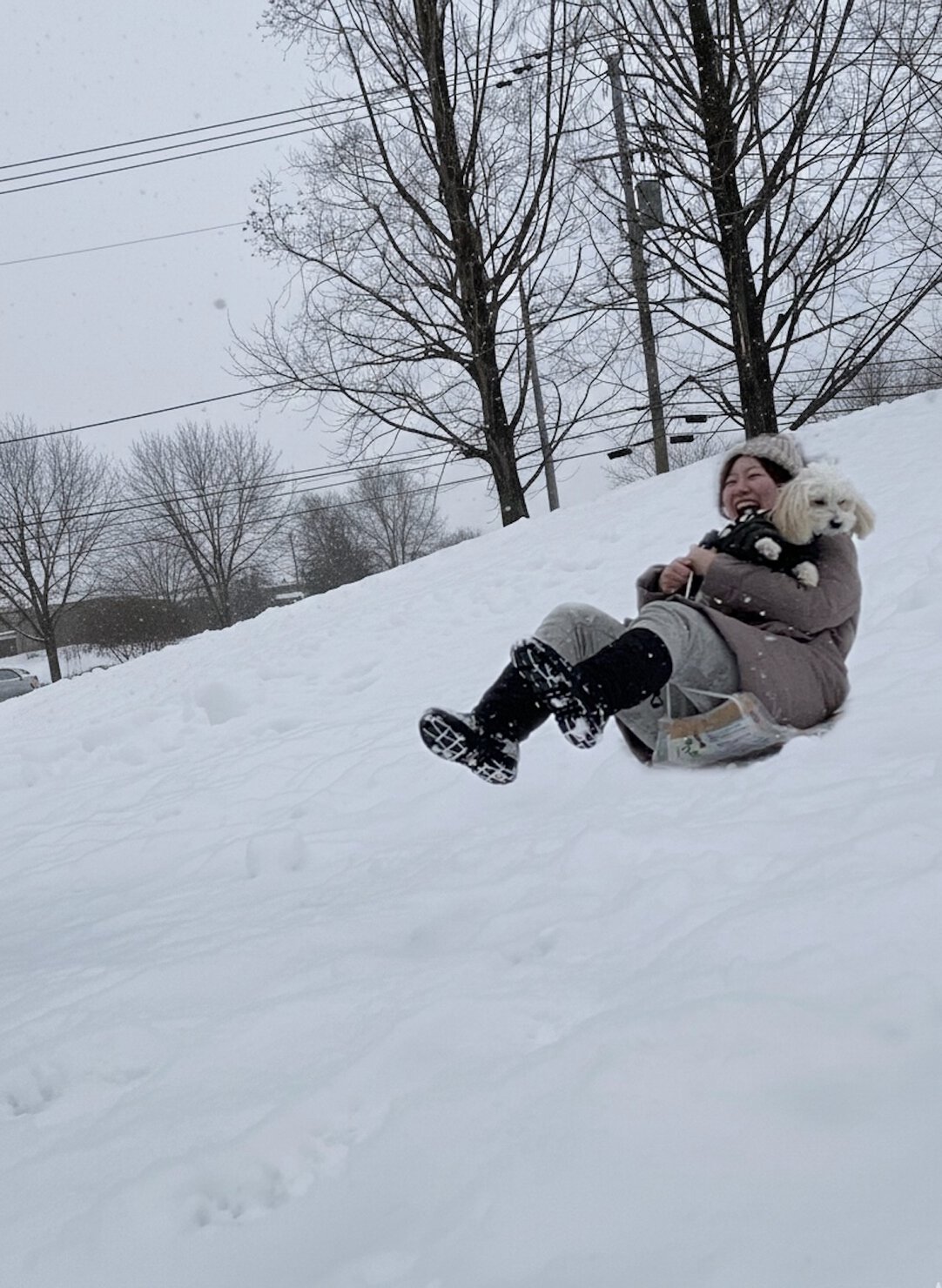 米そりで遊ぶ様子