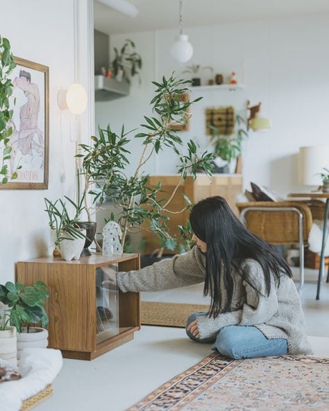 住まいと愛犬との暮らしに合わせたお部屋づくりをされていたSakiさん宅