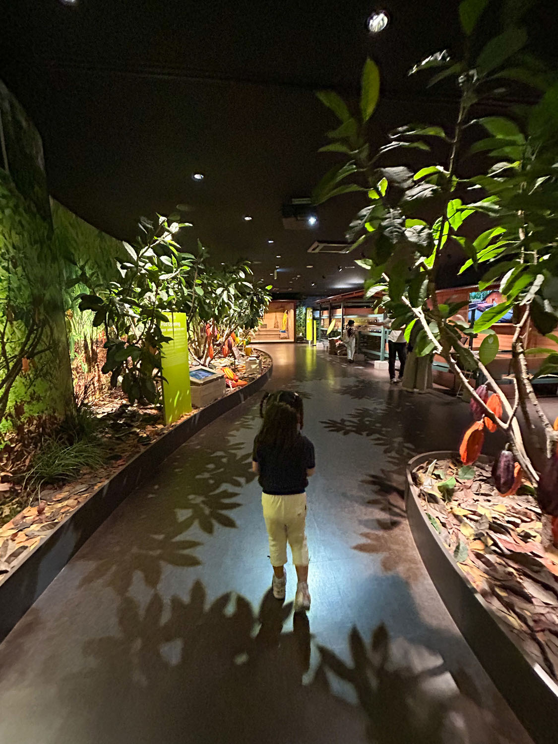 チョコレートの世界に入り込む場所