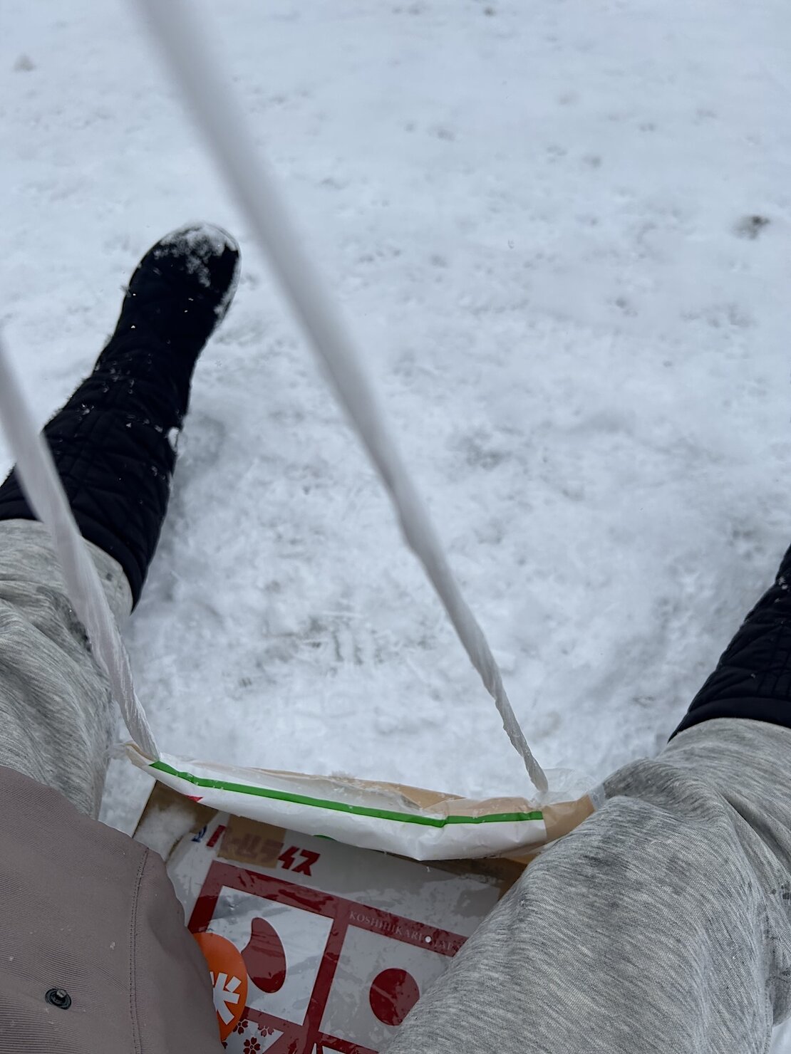 米そりで遊ぶ様子