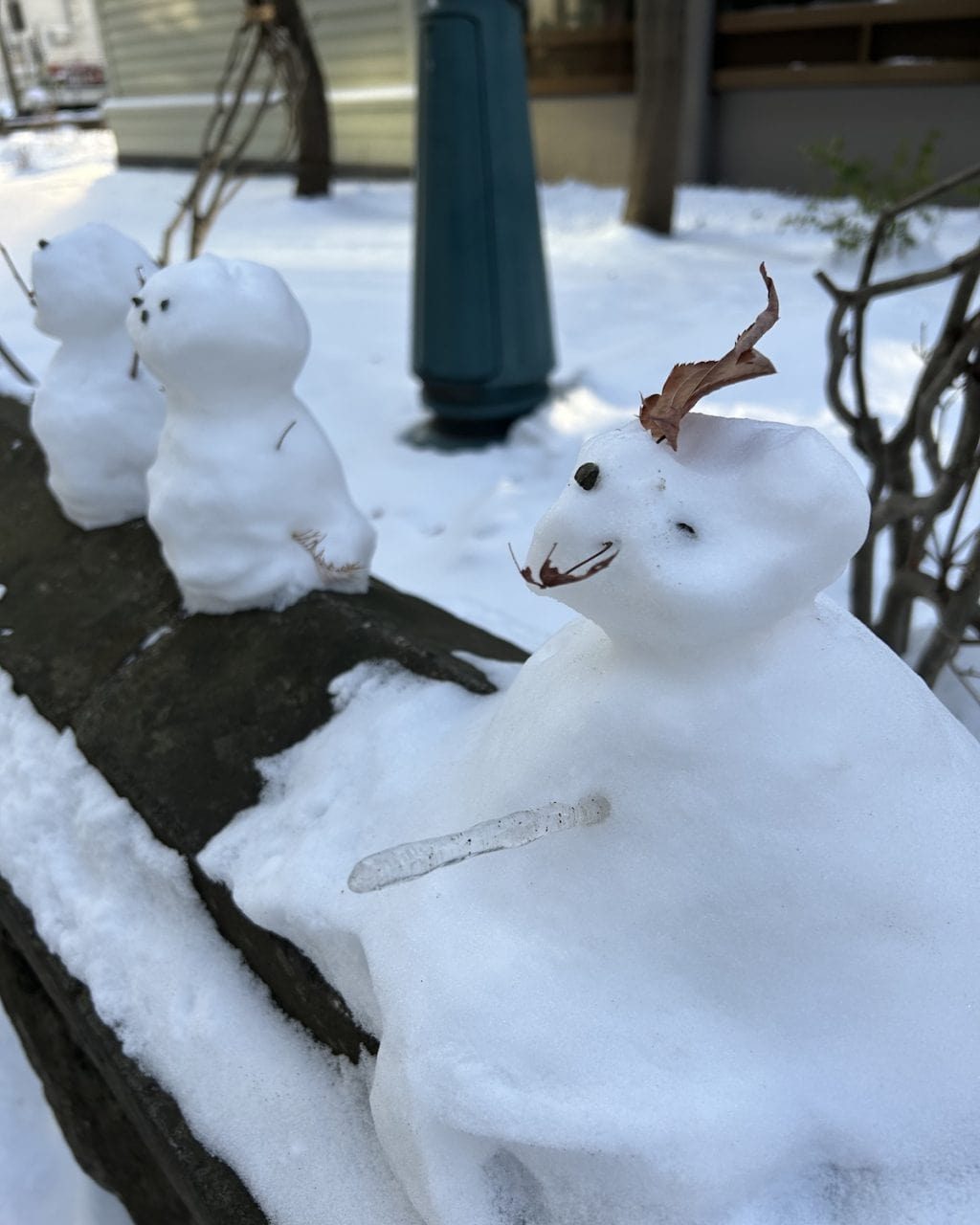 【北国の雪遊び】米袋がそりに変身！ 道産子おなじみの「米そり」を愛犬とともに楽しみました！