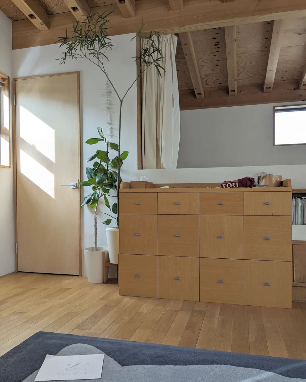 素敵なおうちにある観葉植物