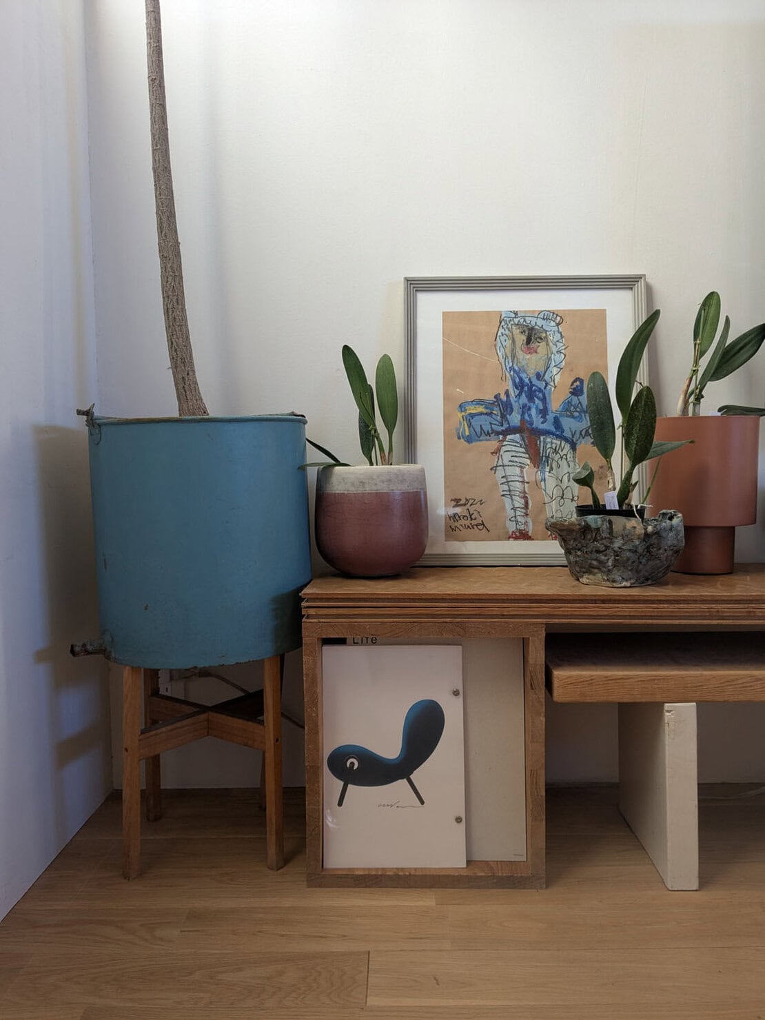 ヴィンテージショップで手に入れたブリキのバケツを鉢カバーとして使っても色や形がお部屋のアクセントに