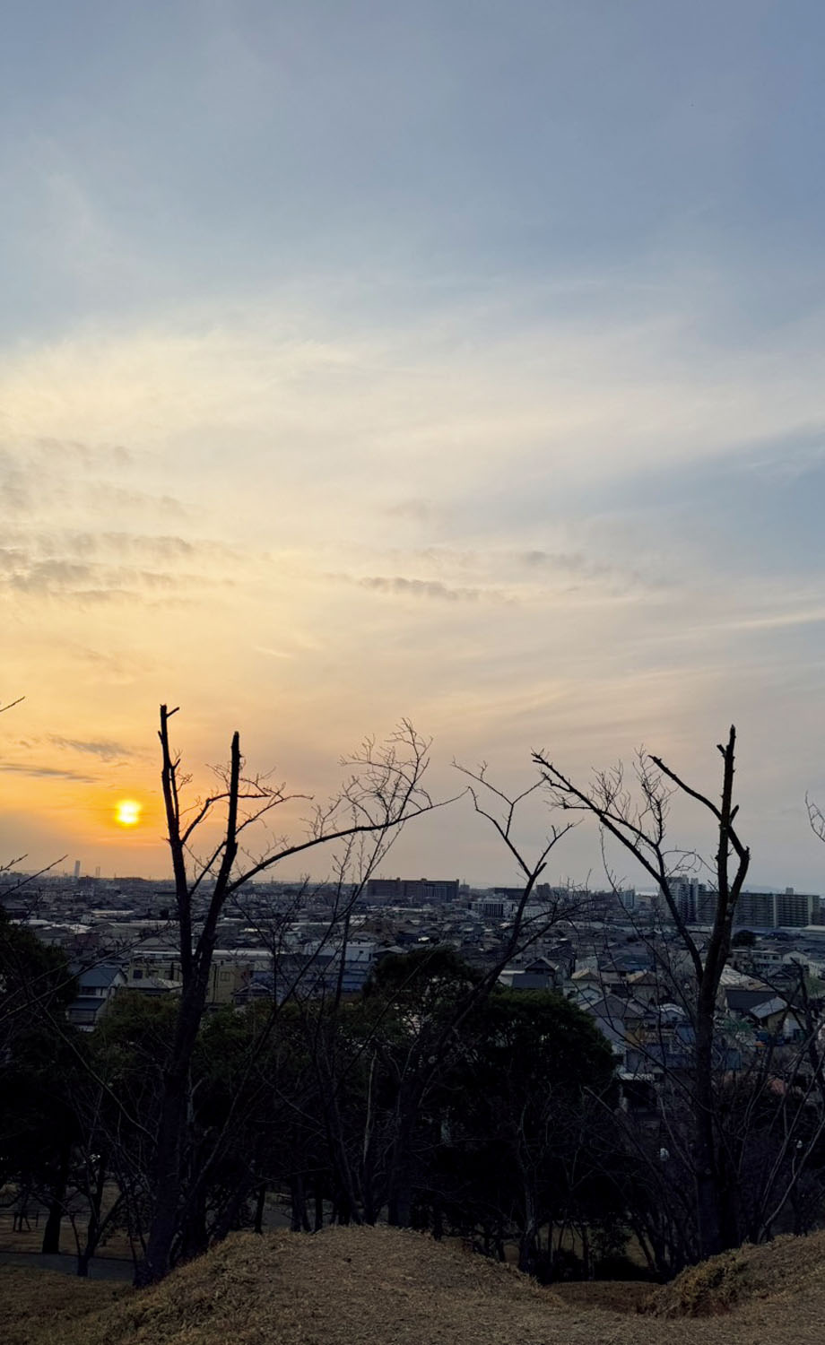 免許を取得したばかりの横田美憧さんの息抜きはドライブへ行くこと