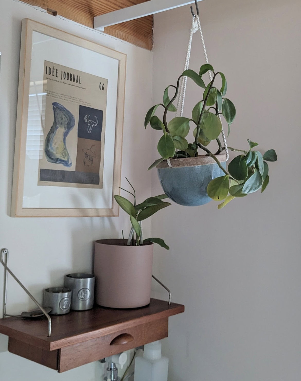 吊り下げられる場所があればハンギングのカバーを使うと高い位置に植物を飾ることができて、垂れ下がる枝ぶりの植物を飾るととても雰囲気を出してくれます。