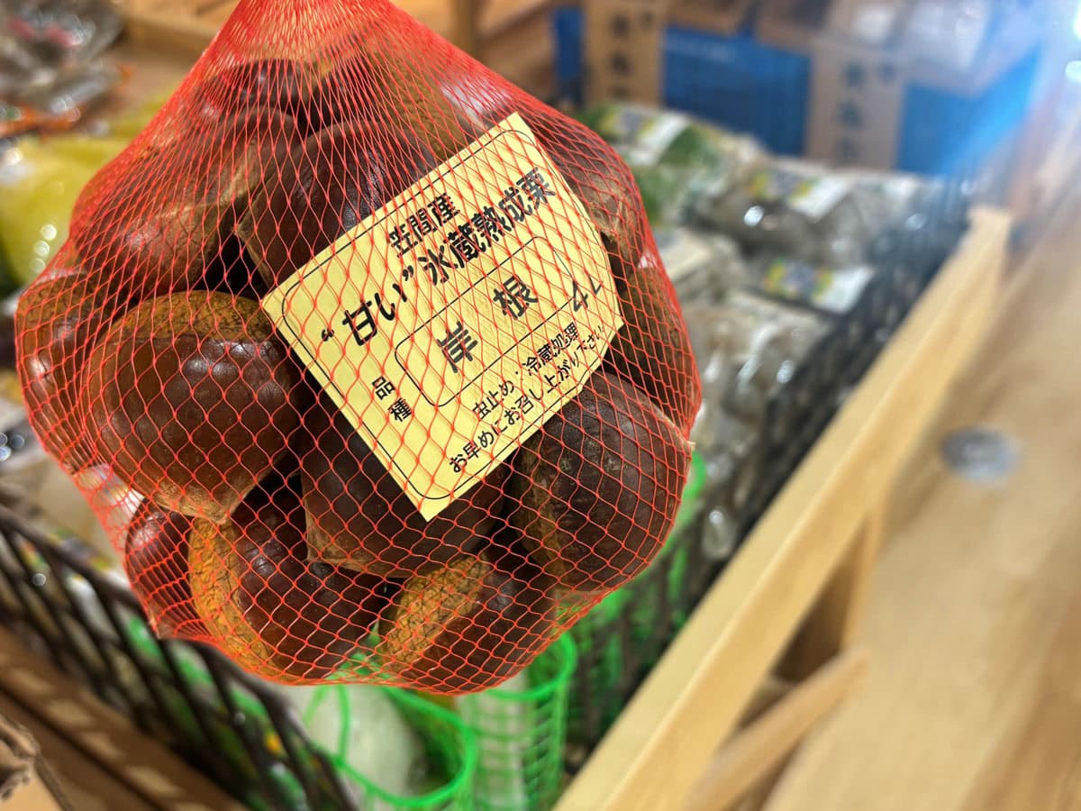 岸根(がんね)という栗の品種