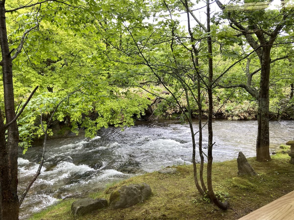 北海道中標津町 養老牛温泉の「温泉の素 湯宿だいいち」朝食会場から見える風景