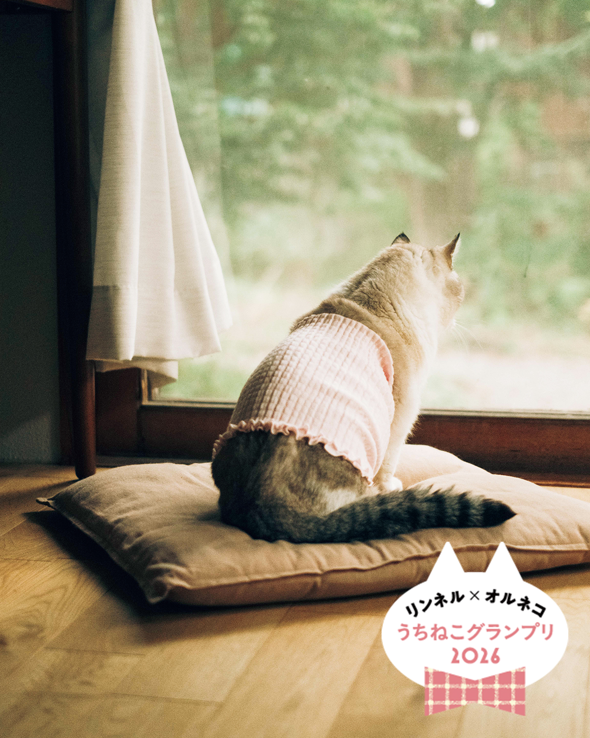 【オルネコ賞大発表】「リンネル×オルネコうちねこグランプリ2026」選ばれたのは、腹巻デビューした「こたつくん」