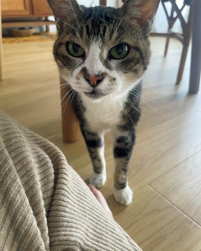 オルネコ部員・スタッフM