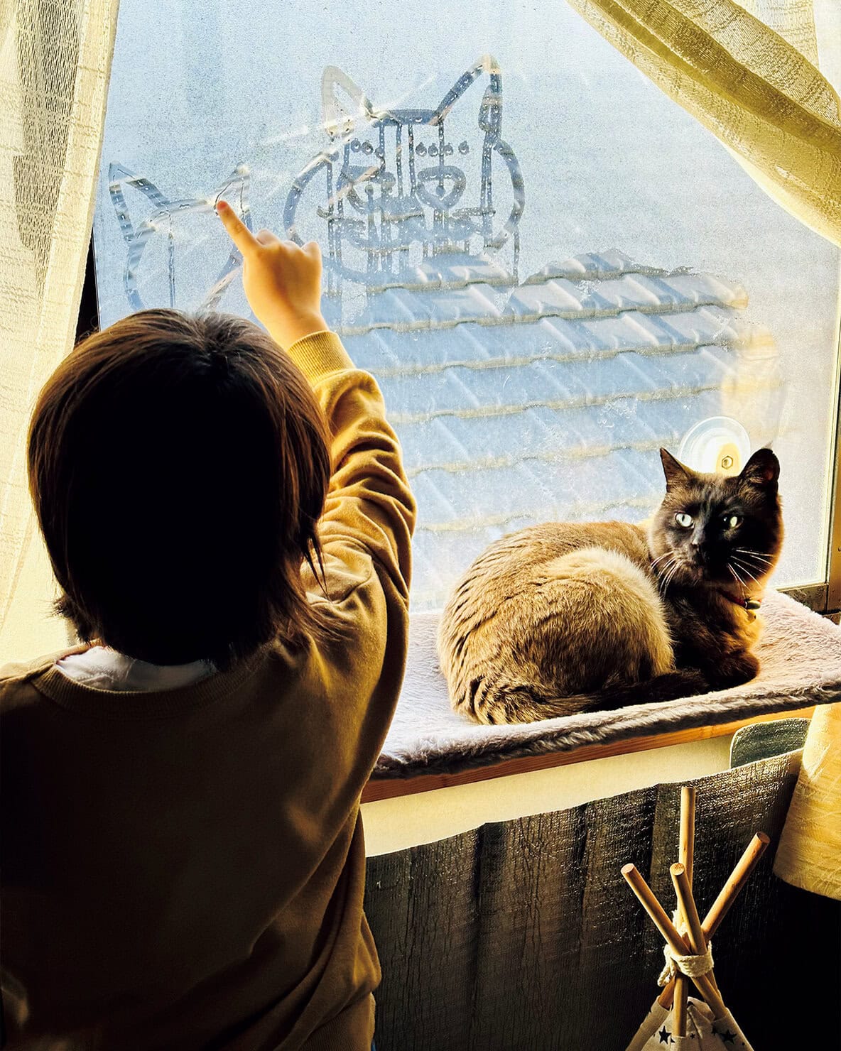 【リンネル4月号】「リンネルオルネコうちねこグランプリ2026」にゃんじろうくん 推定9~10歳・♂