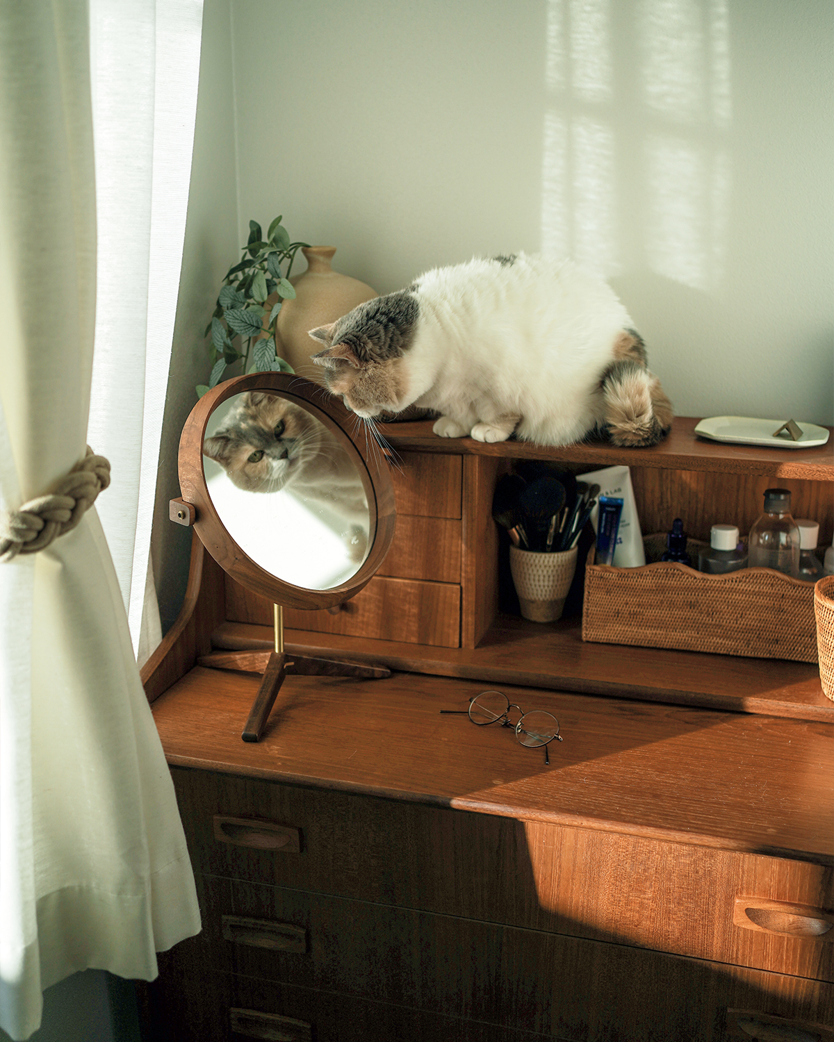 【リンネル4月号】「リンネルオルネコうちねこグランプリ2026」ちくわちゃん