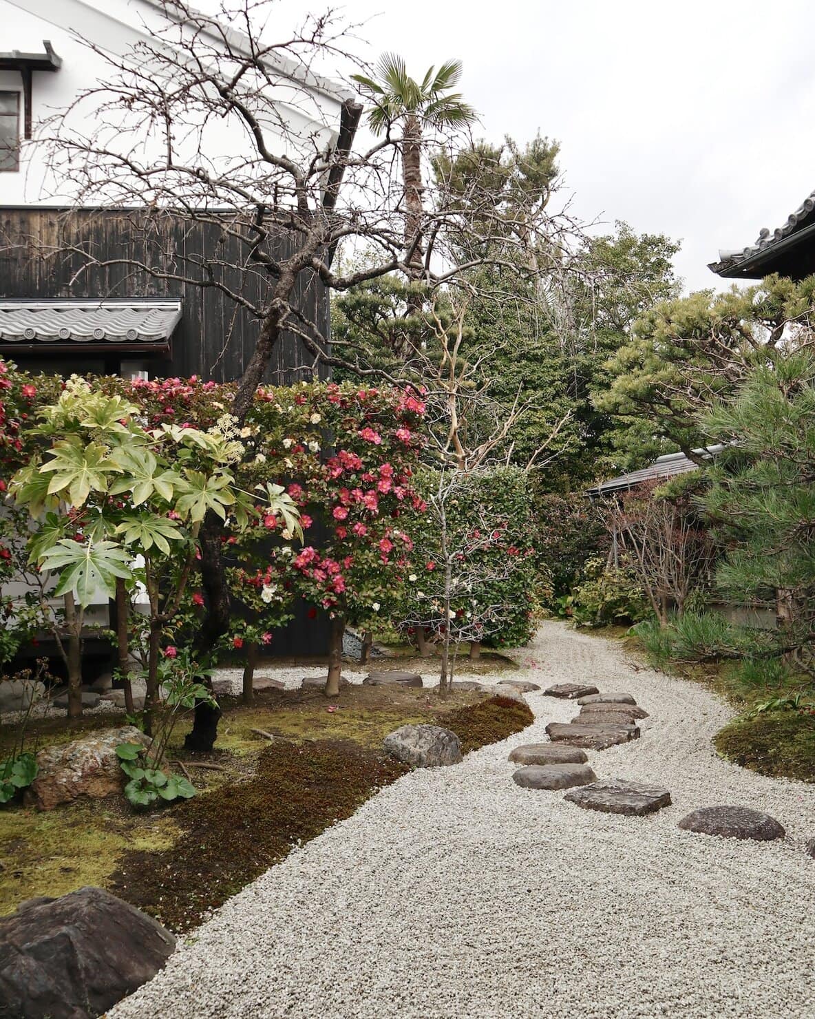 京都・両足院の窓からの景色