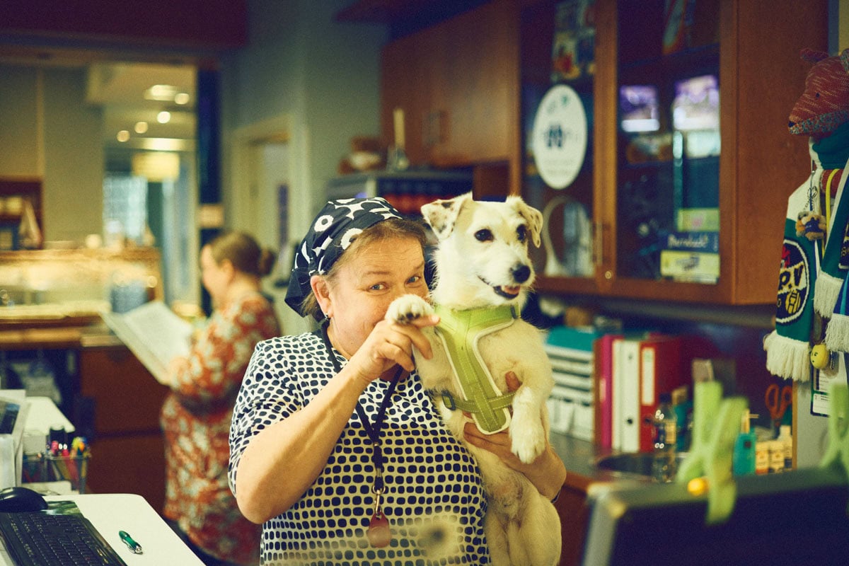 広報部長ラネ(犬)が迎えてくれるホテル Hotel Kokkola