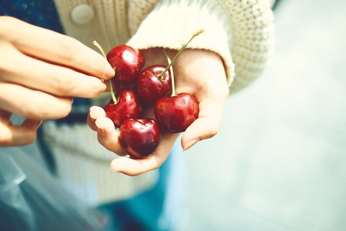 フィンランドのマーケットで購入したアメリカンチェリー。