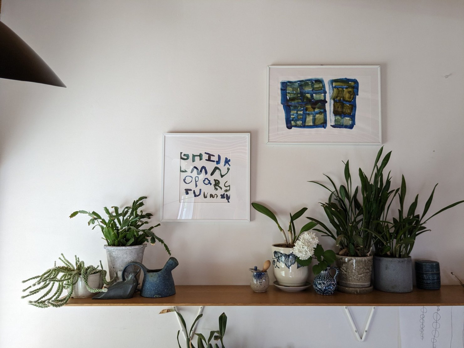 IDÉEのウォールシェルフの上に並べた観葉植物