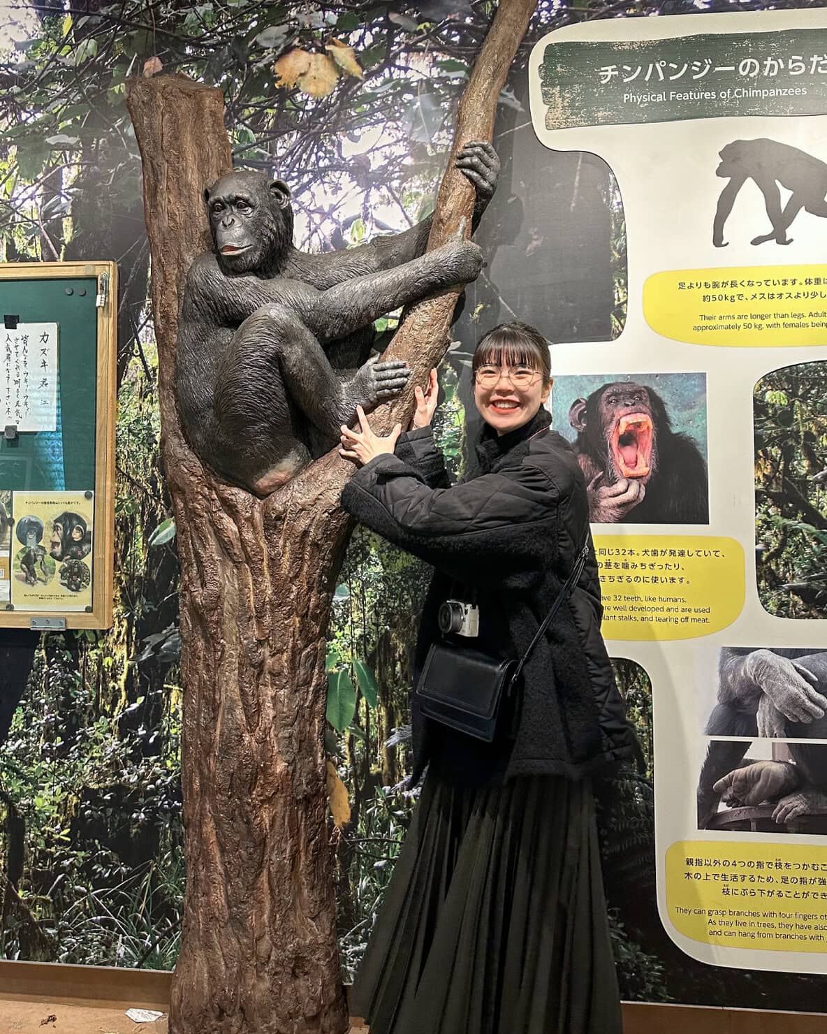 名古屋・東山動植物園へ大人の遠足】 噂のイケメンゴリラ「シャバーニ