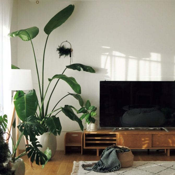 リンネル暮らし部あこさん